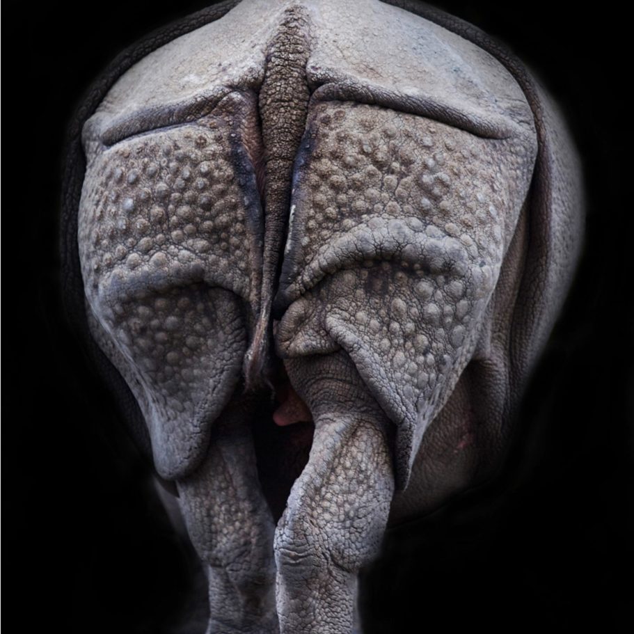 ... und da geht er wieder